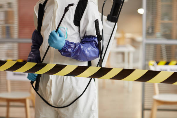 Professional Sewage Cleanup technician working in Hackettstown, NJ